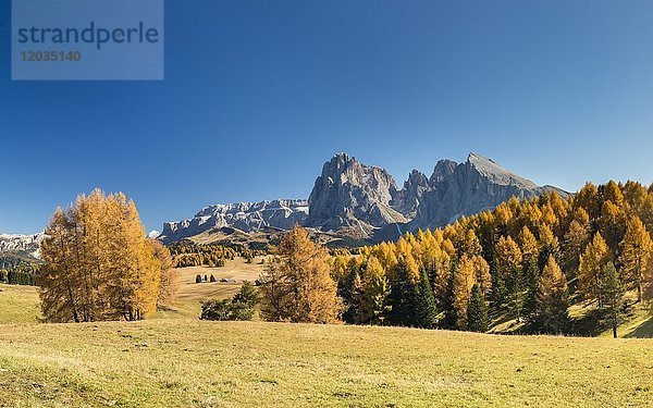 Blick auf die herbstliche Langkofelalm und den Plattkofel  Dolomiten  Südtirol  Italien  Europa