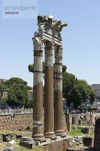 Korinthische Säulen  Forum Romanum  Rom  Latium  Italien  Europa