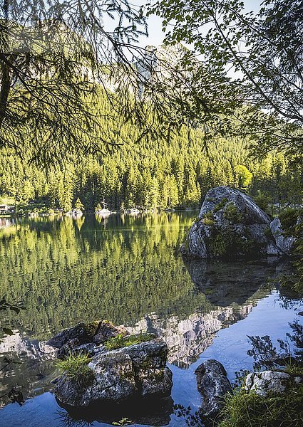 Hintersee  Zauberwald  Ramsau  Nationalpark Berchtesgaden  Berchtesgadener Land  Oberbayern  Deutschland  Europa