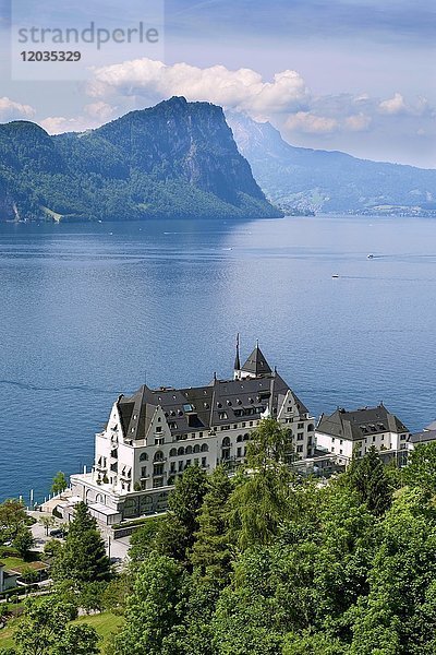 Hotel  Parkhotel  im hinteren Berg Bürgenstock  Vierwaldstättersee  Vitznau  Kanton Luzern  Schweiz  Europa
