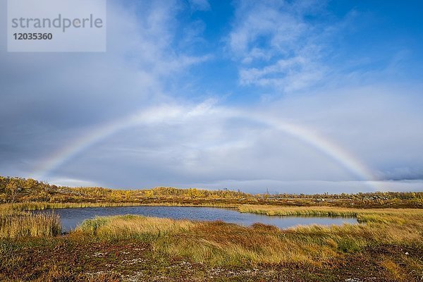 Kleiner See in herbstlicher Landschaft mit Regenbogen  Norrbottens  Norrbottens län  Laponia  Lappland  Schweden  Europa