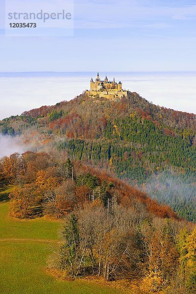 Burg Hohenzollern bei Frühnebel  Schwäbische Alb  Baden-Württemberg  Deutschland  Europa
