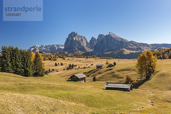 Blick über die herbstliche Seiser Alm zum Langkofel und Plattkofel  Almhütten  Dolomiten  Südtirol  Italien  Europa