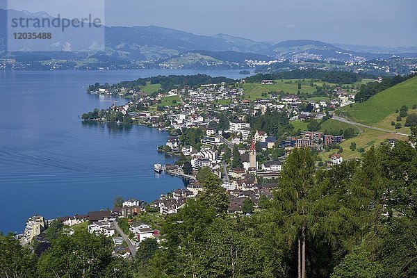 Blick auf das Dorf Weggis am Vierwaldstättersee  Weggis  Kanton Luzern  Schweiz  Europa