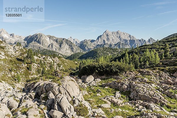 Blick auf den Watzmann  Wanderweg zum Königssee und zur Wasseralm  nahe dem Kärlinger Hausl  Nationalpark Berchtesgaden  Bayern  Deutschland  Europa