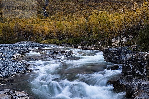 Herbstliche Abisko-Schlucht  Abiskojokk-Fluss  Abiskojokk  Abisko-Nationalpark  Norrbotten  Lappland  Schweden  Europa