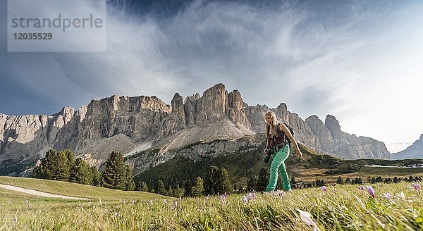 Wanderer vor der Sellagruppe mit Piscadu  Grödner Joch  Grödner Joch  Naturpark Puez-Geisler  Dolomiten  Wolkenstein  Südtirol  Trentino-Südtirol  Italien  Europa
