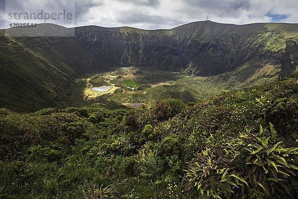 Blick in den Vulkankrater  Caldera  Vulkan Cabeço Gordo  Faial  Azoren  Portugal  Europa