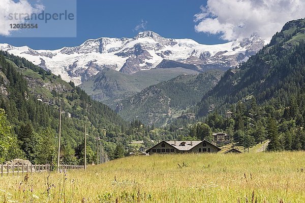 Lystal  hinter dem Lysgletscher und dem Monte Rosa  Gressoney-Saint-Jean  Aostatal  Italien  Europa