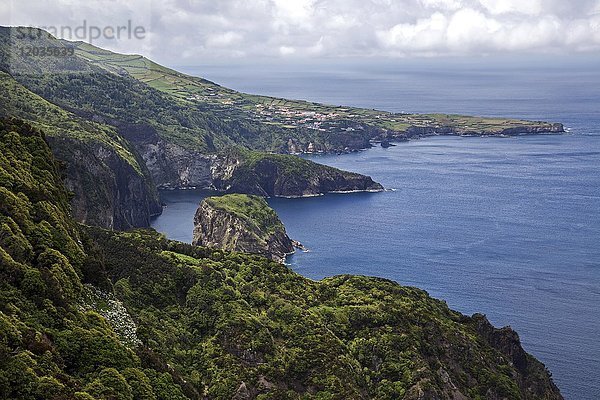 Blick auf die Nordostküste  hinter Ponta Delgada  Insel Flores  Azoren  Portugal  Europa