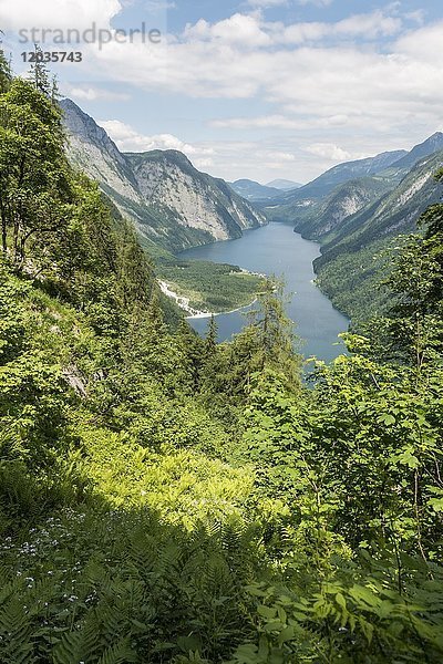 Blick über den Königsee von der Saugasse  Wanderweg zum Kärlingerhaus  Nationalpark Berchtesgaden  Berchtesgadener Land  Oberbayern  Bayern  Deutschland  Europa