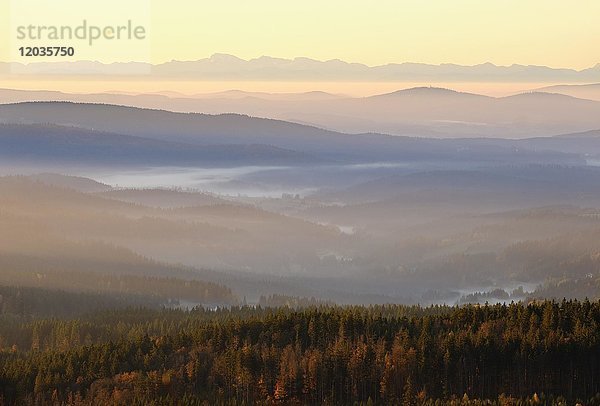 Morgenstimmung  Blick vom Siebensteinkopf  bei Finsterau  im Rücken die Alpen  Nationalpark Bayerischer Wald  Niederbayern  Bayern  Deutschland  Europa