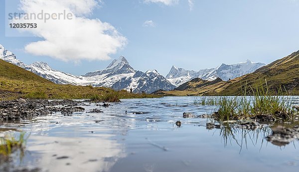 Spiegelung im Bachalpsee  schneebedeckte Eiger Nordwand  Eiger  Mönch  Jungfrau  Grosses Fiescherhorn  Grindelwald  Schweiz  Europa