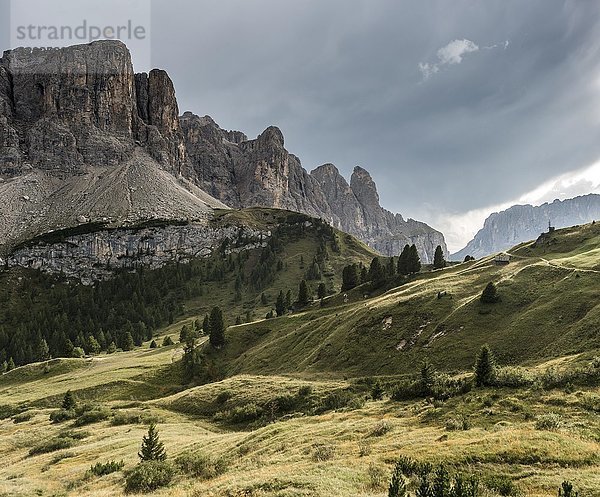 Grödnerjoch  Passo Gardena  2121m  hintere Sellagruppe mit Murfreitspitze  Naturpark Puez-Geisler  Dolomiten  Wolkenstein  Südtirol  Trentino-Südtirol  Italien  Europa