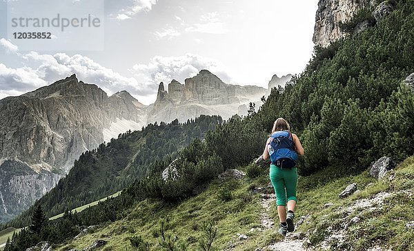 Wanderer auf dem Weg zum Grödnerjoch  Grödnerjoch  Naturpark Park Puez-Geisler  Dolomiten  Wolkenstein  Südtirol  Trentino-Südtirol  Italien  Europa