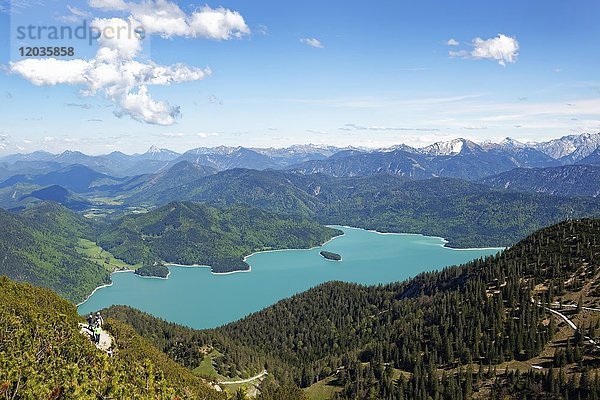 Blick vom Heimgarten auf den Walchensee  Tölzer Land  Oberbayern  Bayern  Deutschland  Europa