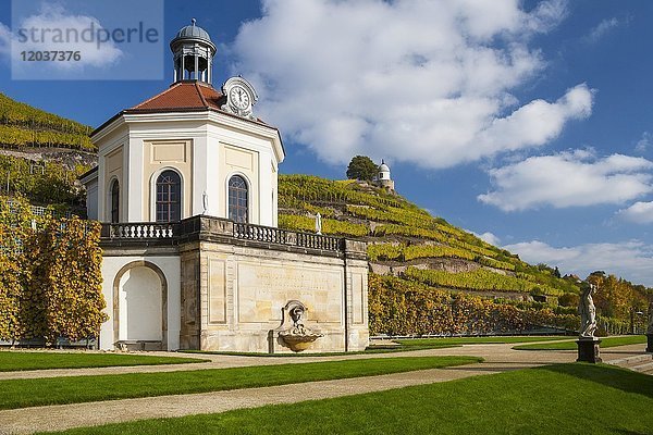 Belvedere mit Ausblick zum Jacobstein  Schloss Wackerbarth  Radebeul  Sachsen  Deutschland  Europa