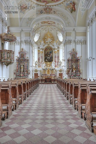 Langschiff und Hauptaltar  Klosterkirche und Pfarrkirche St. Markus  Kloster Sießen  Bad Saulgau  Baden-Württemberg  Deutschland  Europa