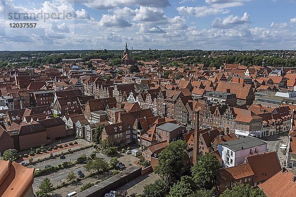 Historische Alstadt mit St. Michaelis Kirche  Ausblick vom Wasserturm  Lüneburg  Niedersachsen  Deutschland  Europa