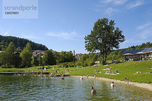Naturbad im Kurpark  Sankt Englmar  Bayerischer Wald  Niederbayern  Bayern  Deutschland  Europa