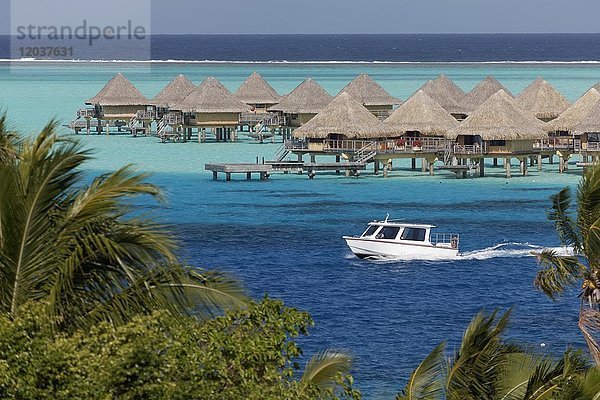 Motorboot  Wasserbungalows im türkisen Meer  Resort Sofitel Bora Bora  Insel Bora Bora  Gesellschaftsinseln  Französisch Polynesien