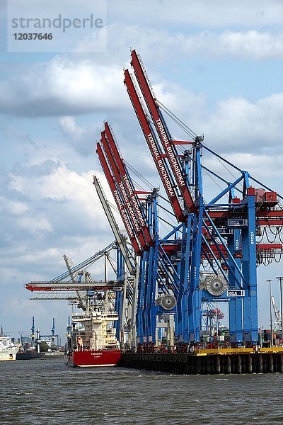 Containerschiff und Ladekräne  Containerterminal  Hamburger Hafen  Hamburg  Deutschland  Europa