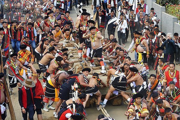 Zeremonie  Gruppe zieht schweren Stein  Kisima Nagaland Hornbill Festival  Kohima  Nagaland  Indien  Asien