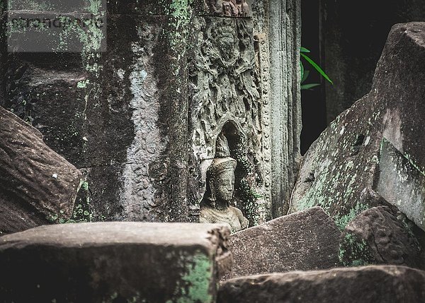 Steinrelief einer göttlichen Tänzerinnen  Apsaras  Detail  verfallene Tempelruine  Preah Khan Tempel  Angkor Archaeological Park  Provinz Siem Reap  Kambodscha  Asien