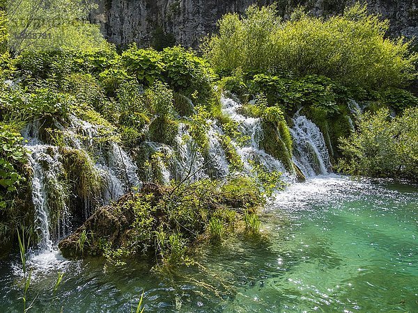 Kleiner Wasserfall  Nationalpark Plitvicer Seen  Plitvicka Jezera  Lika-Senj  Kroatien  Europa