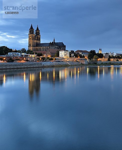 Magdeburger Dom am Fluss Elbe  Abenddämmerung  Magdeburg  Sachsen-Anhalt  Deutschland  Europa