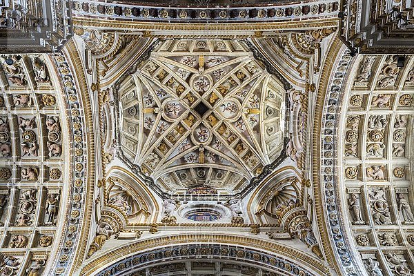 Vierung  Kuppel  Renaissance  Monasterio de San Jerónimo  Granada  Andalusien  Spanien  Europa
