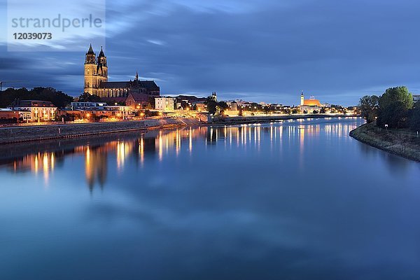 Magdeburger Dom am Fluss Elbe  Abenddämmerung  Magdeburg  Sachsen-Anhalt  Deutschland  Europa