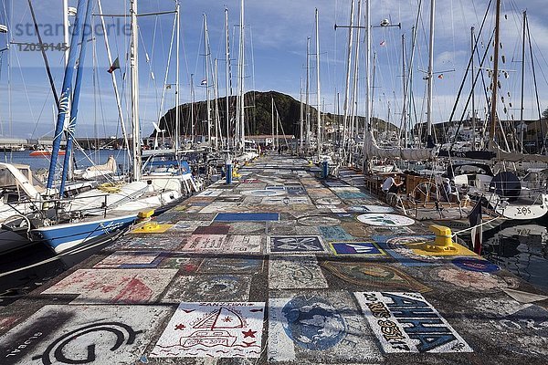 Von Seglern bemalte Kaimauer  Hafen  Jachthafen  Horta  Insel Faial  Azoren  Portugal  Europa