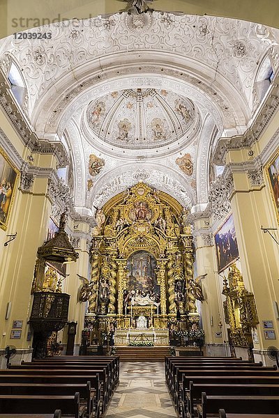 Langhaus  Kuppel  Hochaltar  Iglesia de San Jorge im Hospital de la Santa Caridad  Sevilla  Andalusien  Spanien  Europa