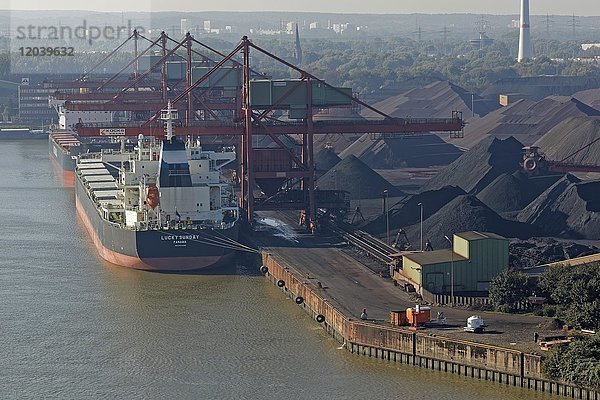 Ausblick von der Köhlbrandbrücke auf den Kohlehafen  Hansaport  Hamburg  Deutschland  Europa