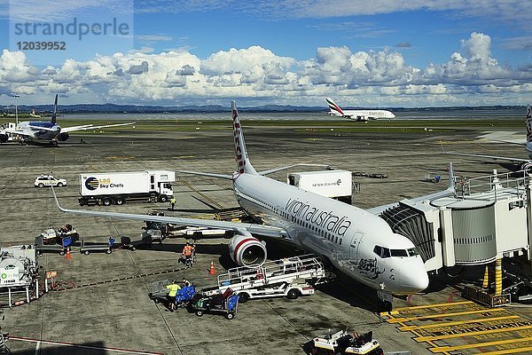 Flugzeug Virgiin Australia auf Rollfeld  Flughafen  Auckland  Neuseeland  Ozeanien