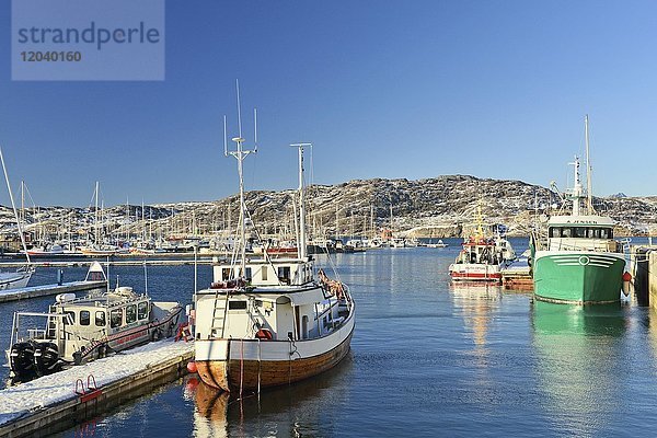 Fischerboote im Hafen  Bodø  Nordland  Norwegen  Europa