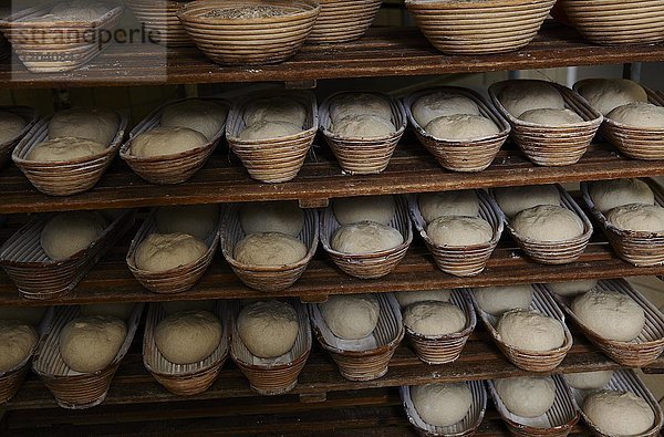 Bio-Bäckerei beim zubereiten der Brotlaibe in Backkörben  Kerpen Eifel  Rheinland-Pfalz  Deutschland  Europa