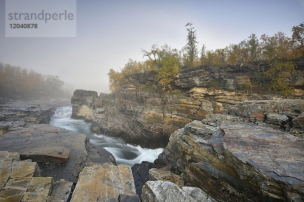 Fluss Abiskojakka River fließt durch Abisko Canyon  Flusslandschaft im Herbst bei Morgennebel  Abisko-Nationalpark  Schweden  Europa