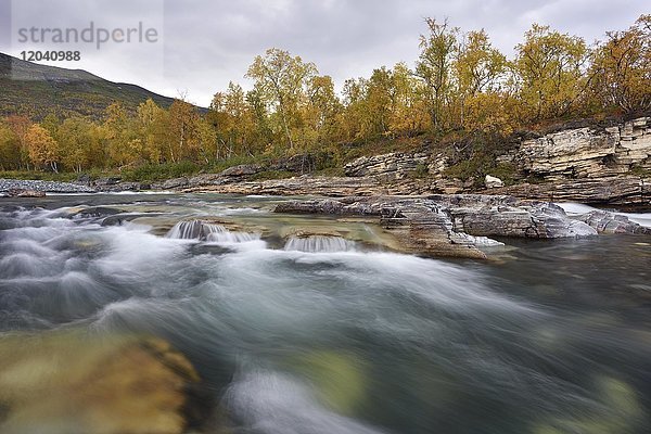 Fluss Abiskojakka River fließt durch Abisko Canyon  Flusslandschaft im Herbst  Abisko-Nationalpark  Schweden  Europa