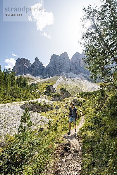 Wanderer auf dem Wanderweg zur Geisleralm im Villnösstal unterhalb der Geislerspitzen  hinten die Geislergruppe  Sass Rigais  Dolomiten  Südtirol  Italien  Europa