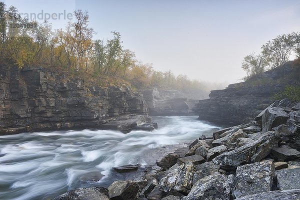 Fluss Abiskojakka River fließt durch Abisko Canyon  Flusslandschaft im Herbst bei Morgennebel  Abisko-Nationalpark  Schweden  Europa