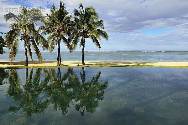 Palmen  Infinity Pool des Maradiva Villas Resort  Mauritius  Indischer Ozean  Afrika