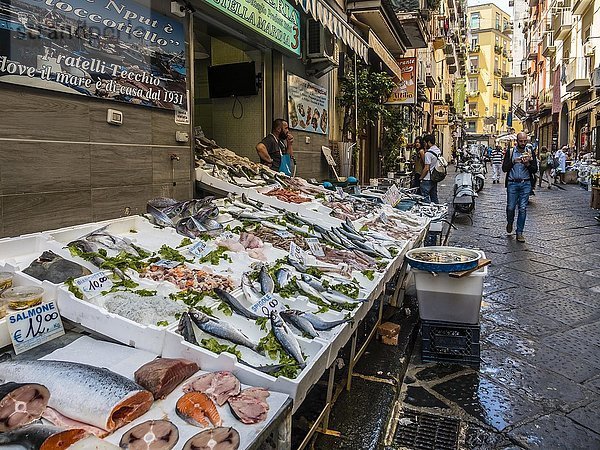 Fischgeschäfte in der Altstadt  Neapel  Kampanien  Italien  Europa