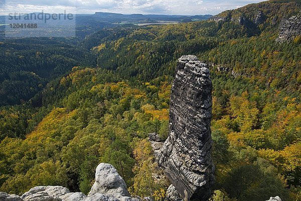 Große Felsnadel am Prebischtor  Hrensko  Böhmische Schweiz  Tschechien  Europa