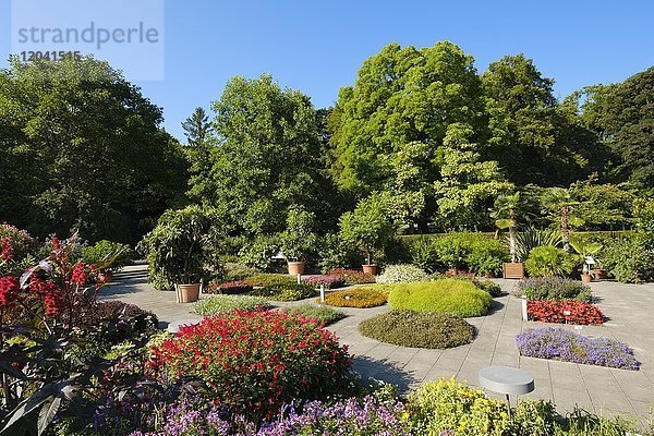 Senkgarten  Botanischer Garten Augsburg  Schwaben  Bayern  Deutschland  Europa