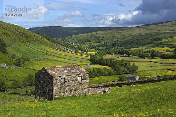 Blick über das Swaledale-Tal  in der Nähe von Thwaite  Yorkshire Dales National Park  Yorkshire  England  Vereinigtes Königreich  Europa