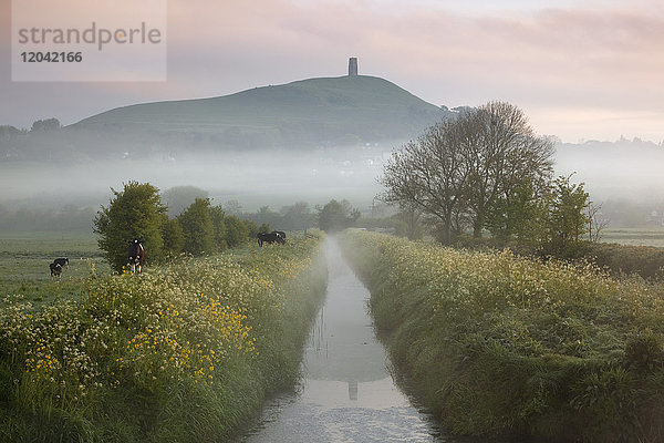 Dämmerungsnebel unter dem Glastonbury Tor  Glastonbury  Somerset  England  Vereinigtes Königreich  Europa