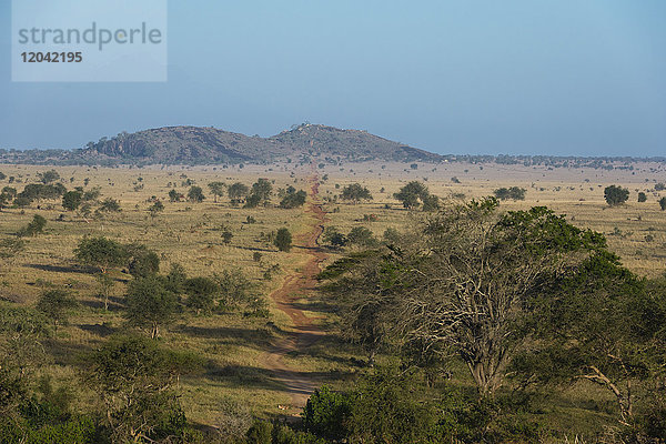 Ein Blick auf den Löwenfelsen im Lualenyi-Wildreservat  Tsavo  Kenia  Ostafrika  Afrika