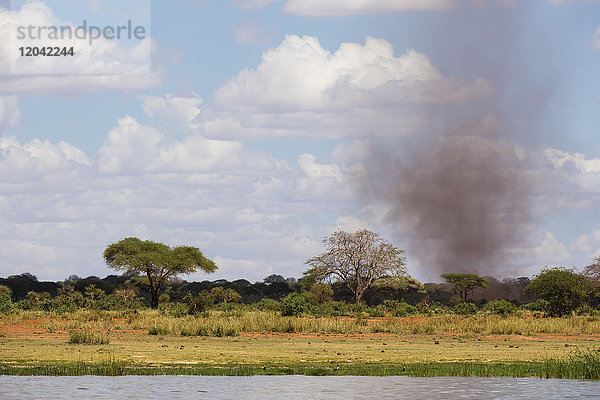 Ein Staubtornado (Staubteufel)  Tsavo  Kenia  Ostafrika  Afrika